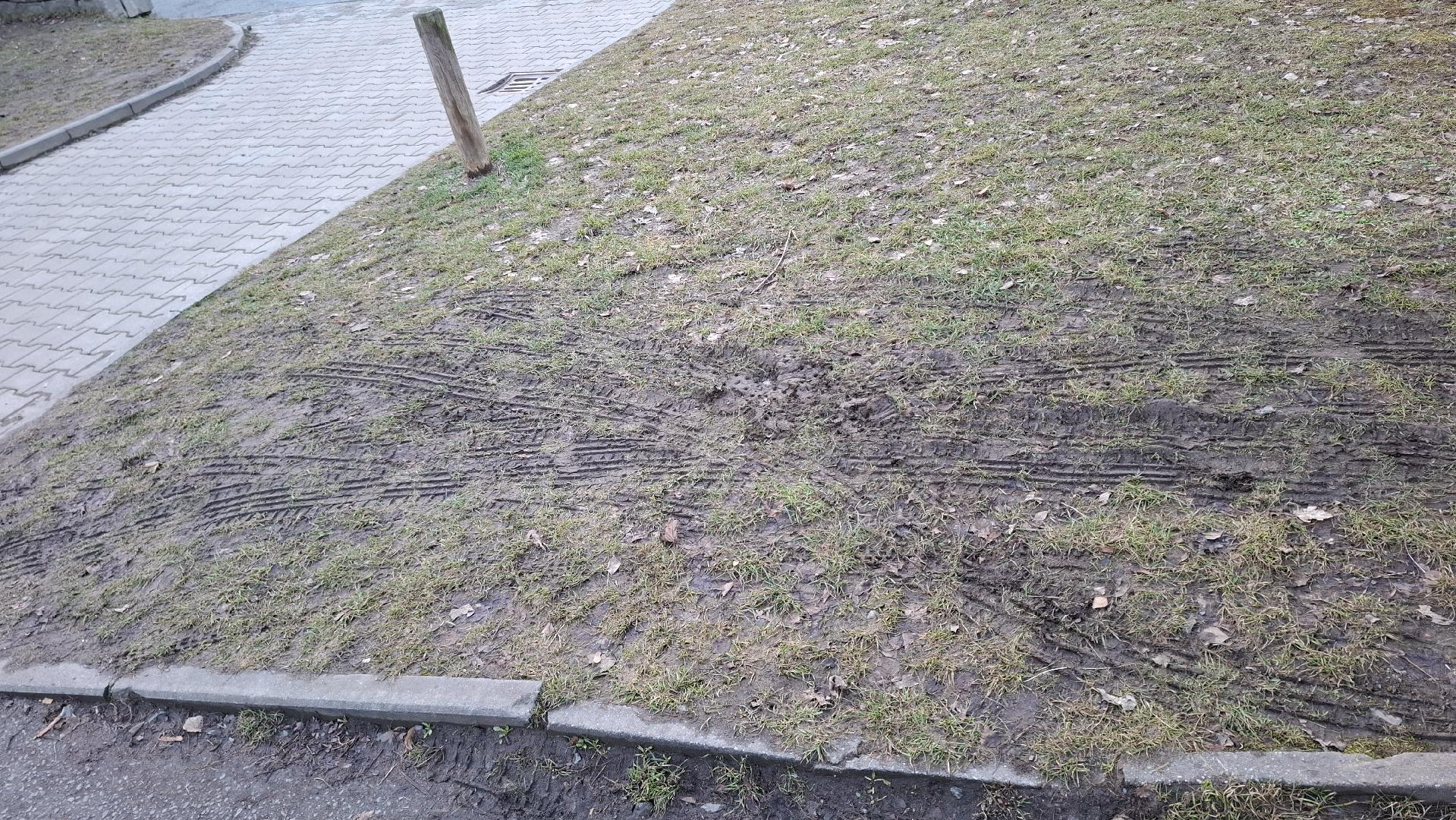 Rozježděný trávník