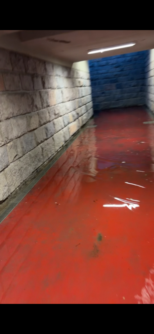 Fotografie nahlášení