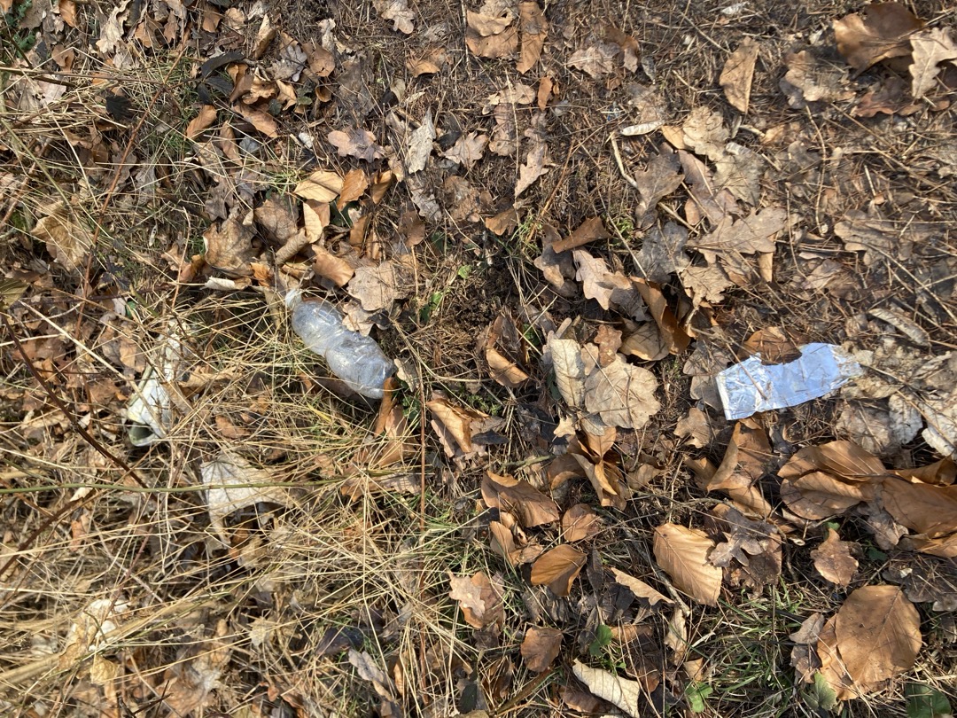 Nepořádek na Homolce