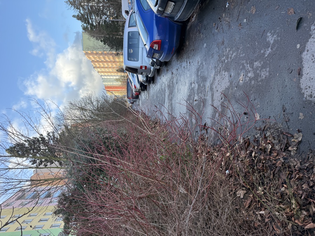 Fotografie nahlášení