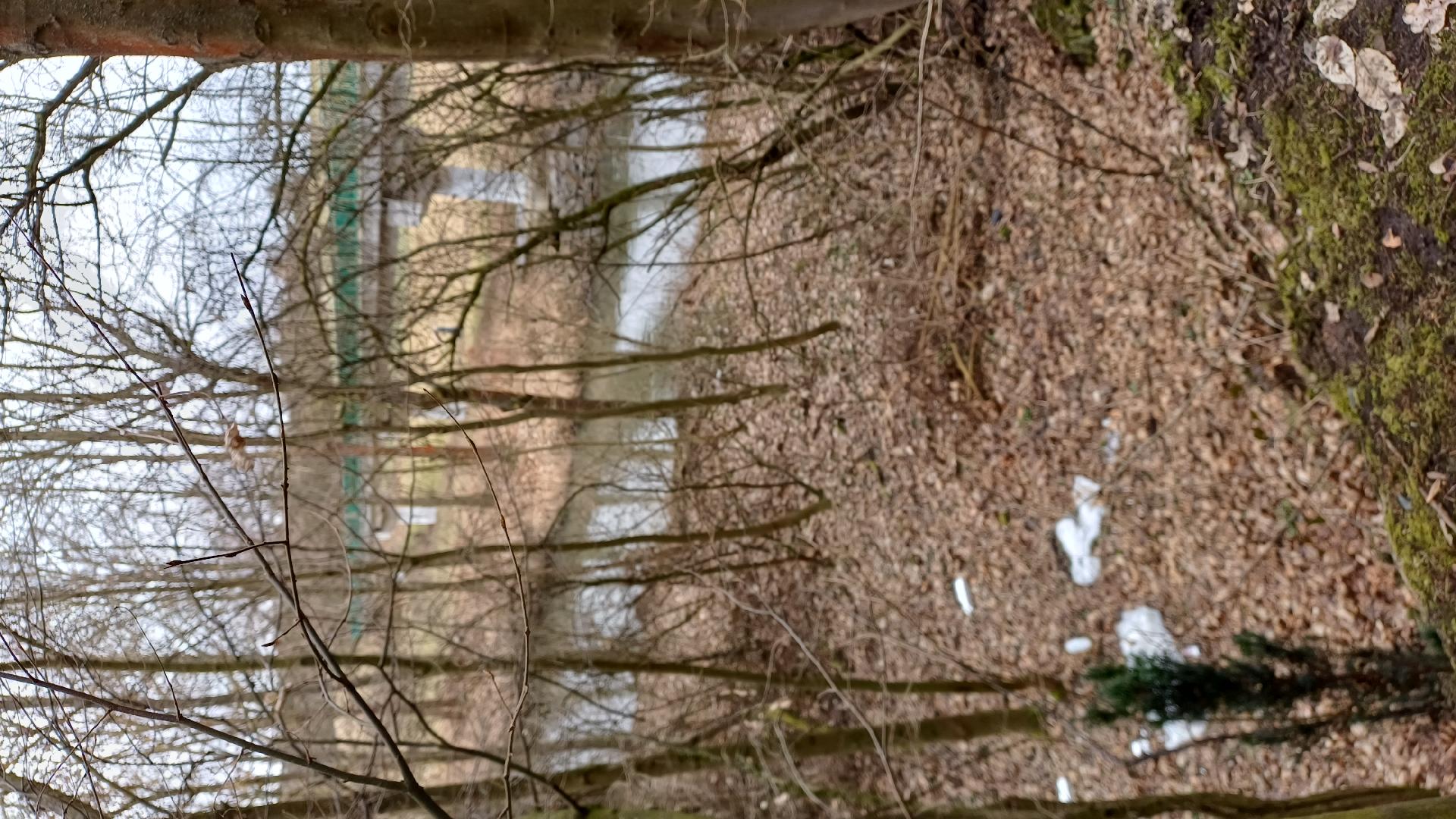 Nelegální skládka 