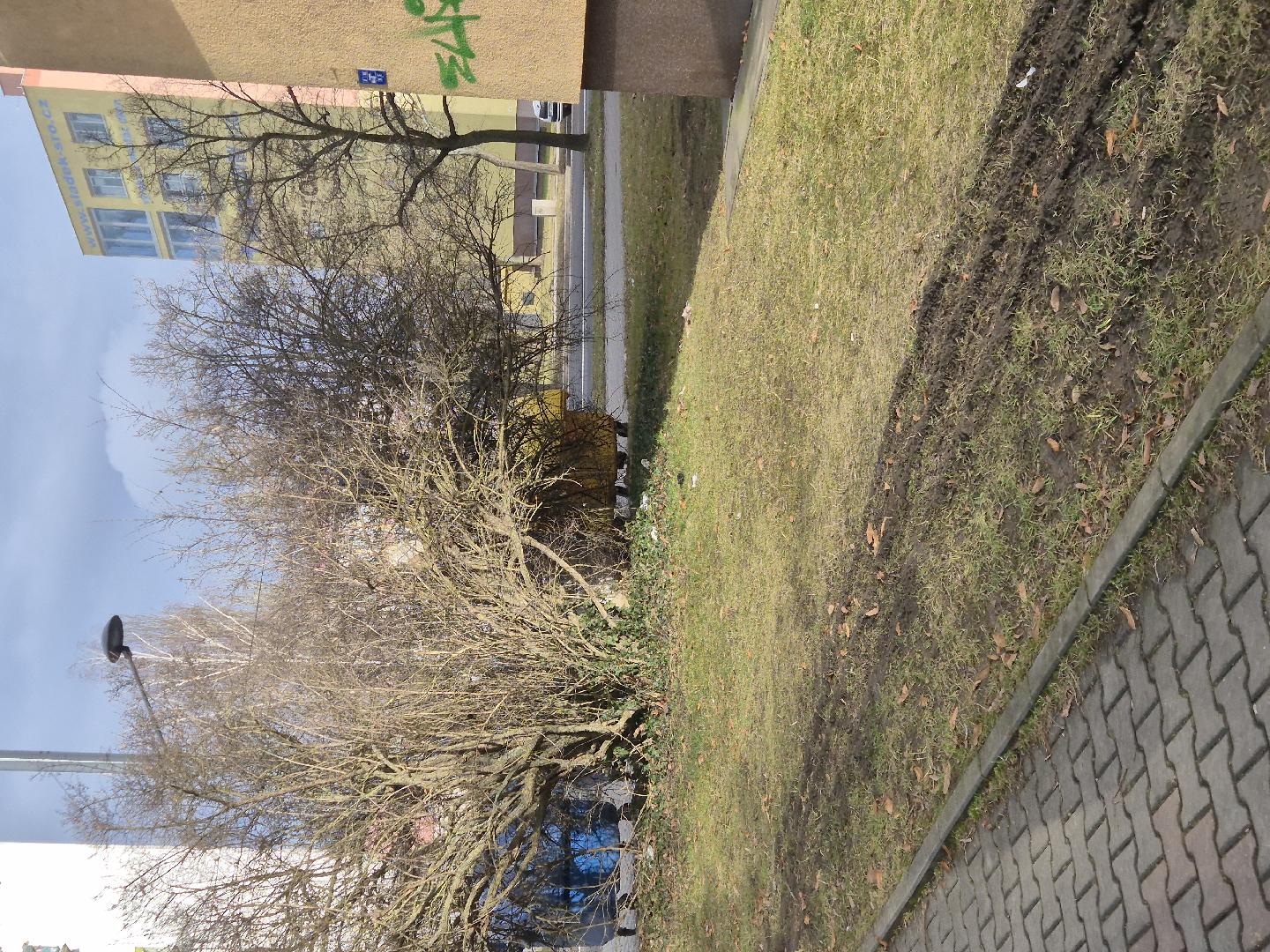 Nepořádek okolo kontejnerů