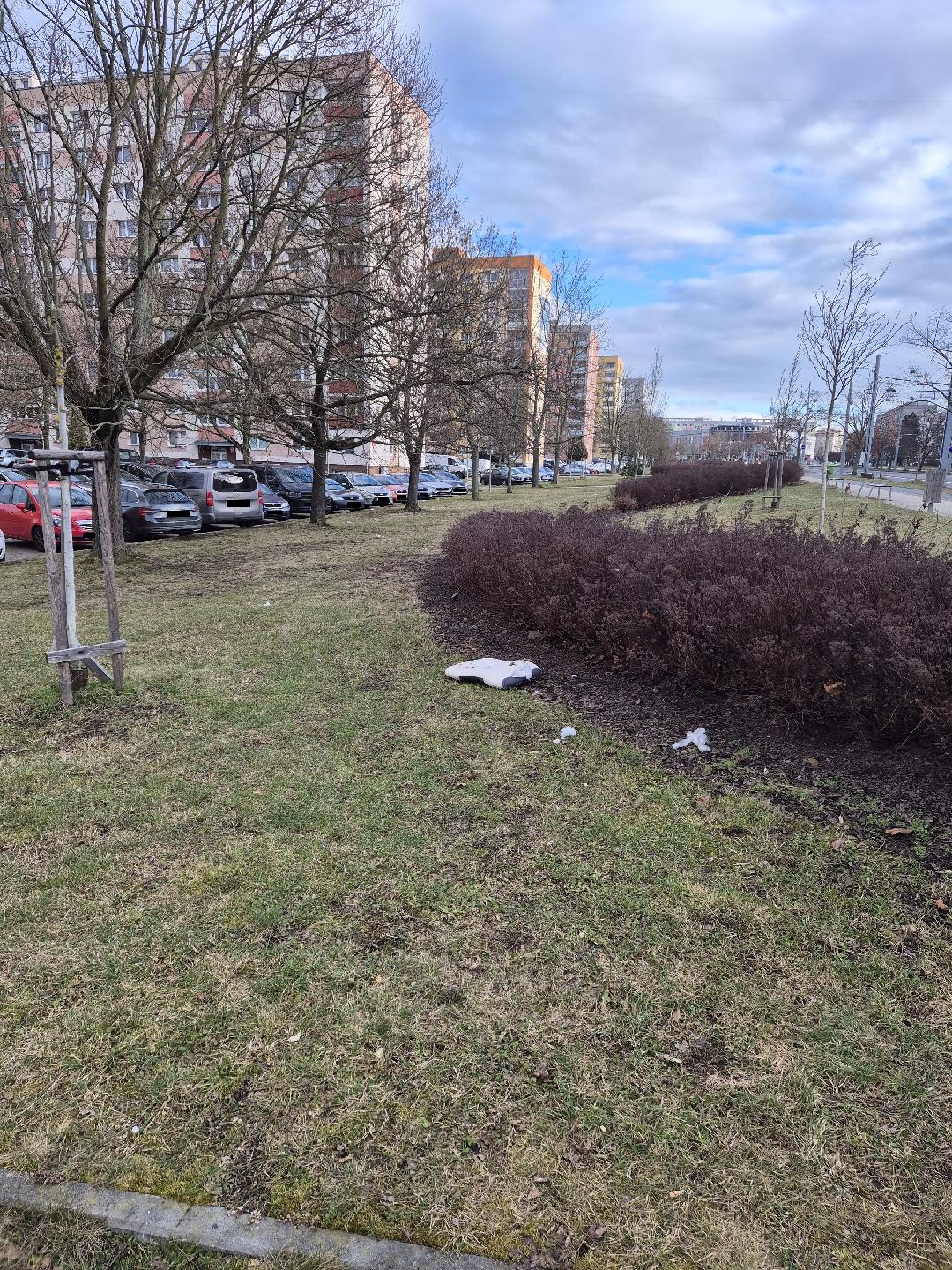 Travnaté plochy, keře