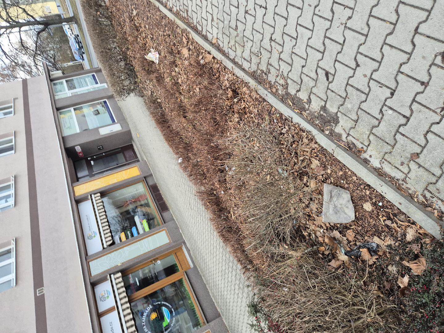 Fotografie nahlášení