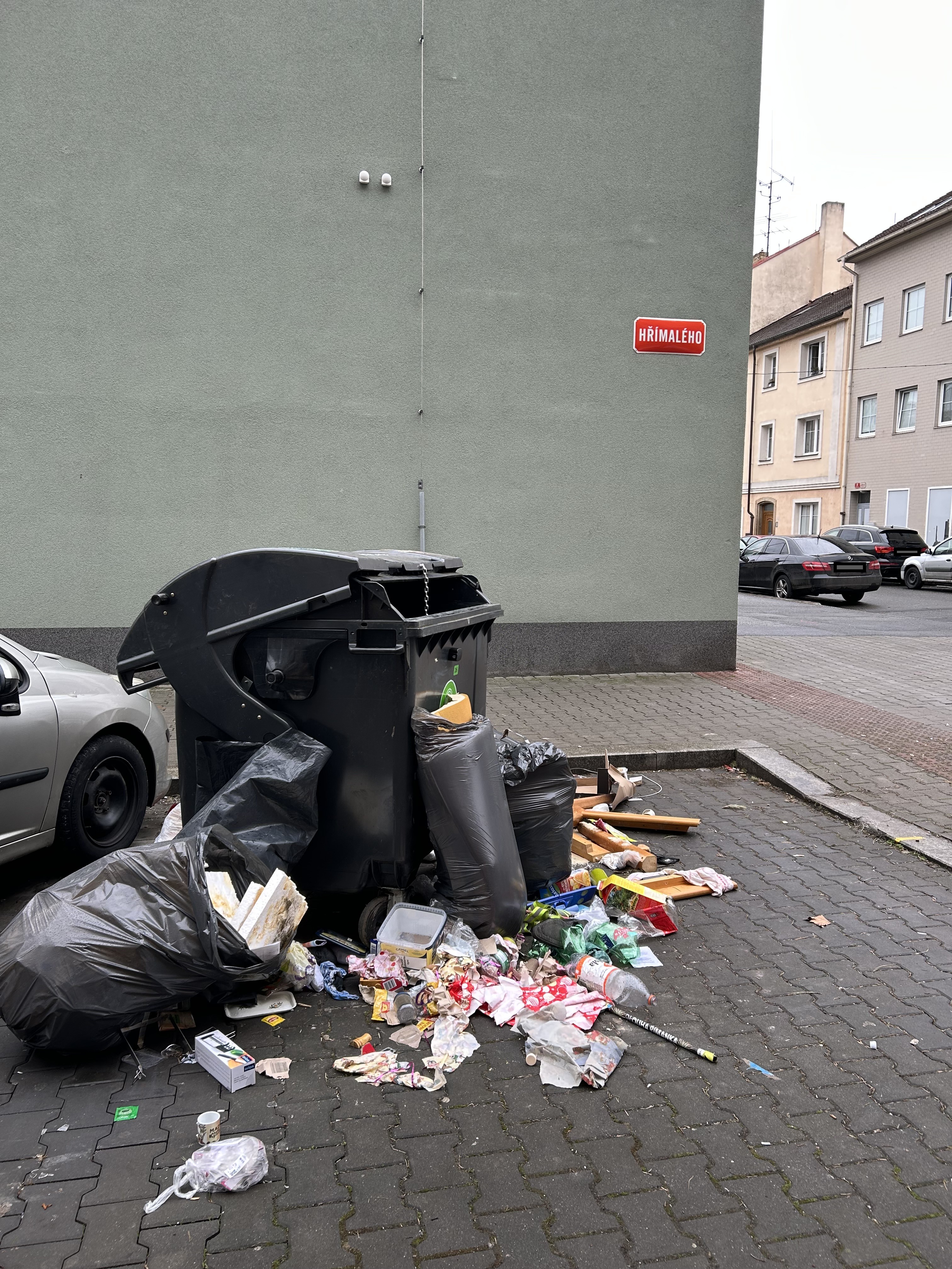Nepořádek u popelnic
