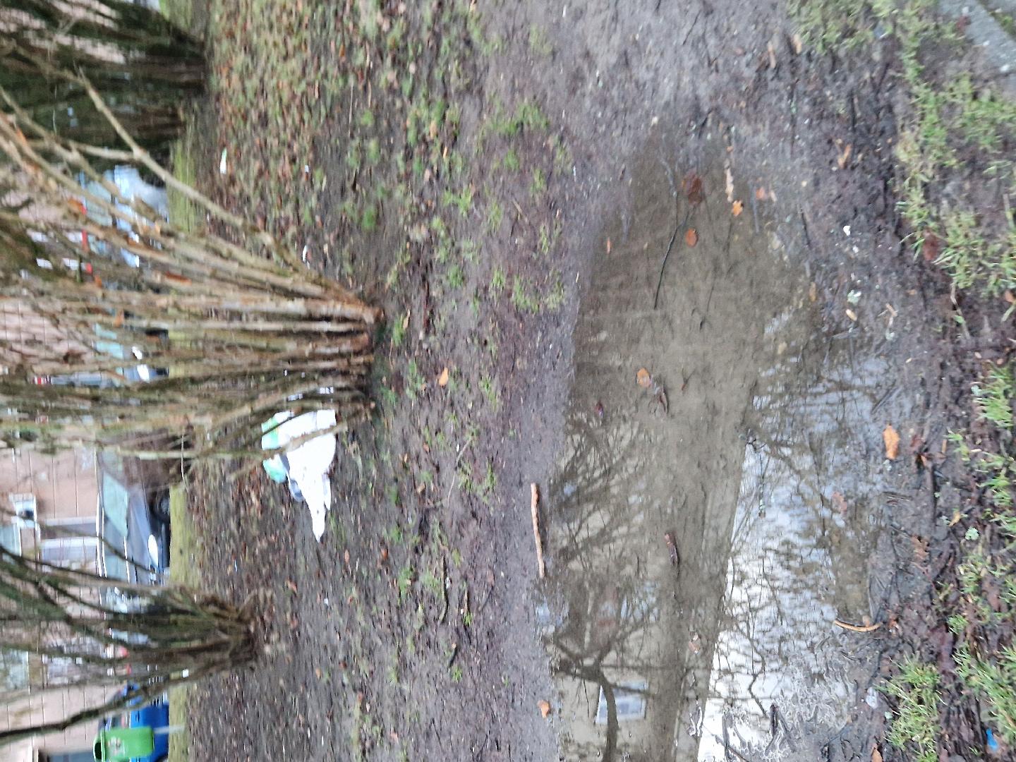 Fotografie nahlášení