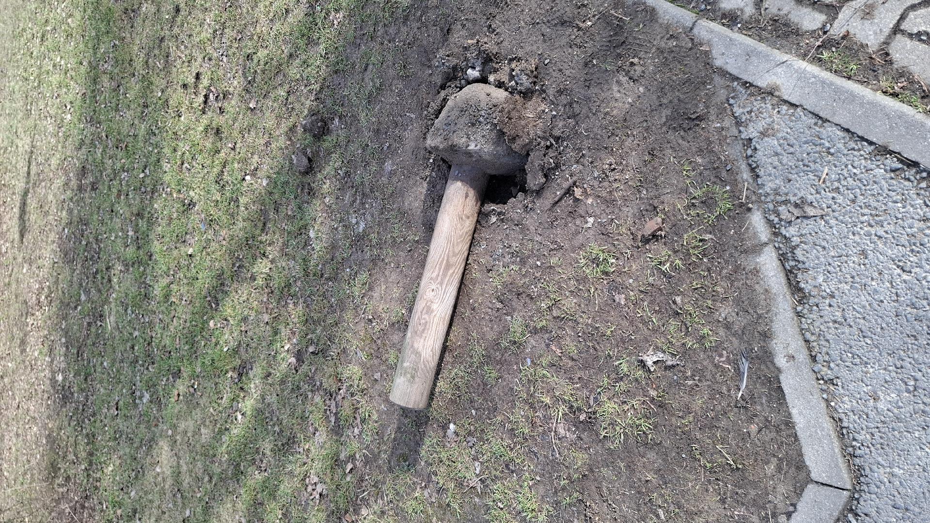 Fotografie nahlášení