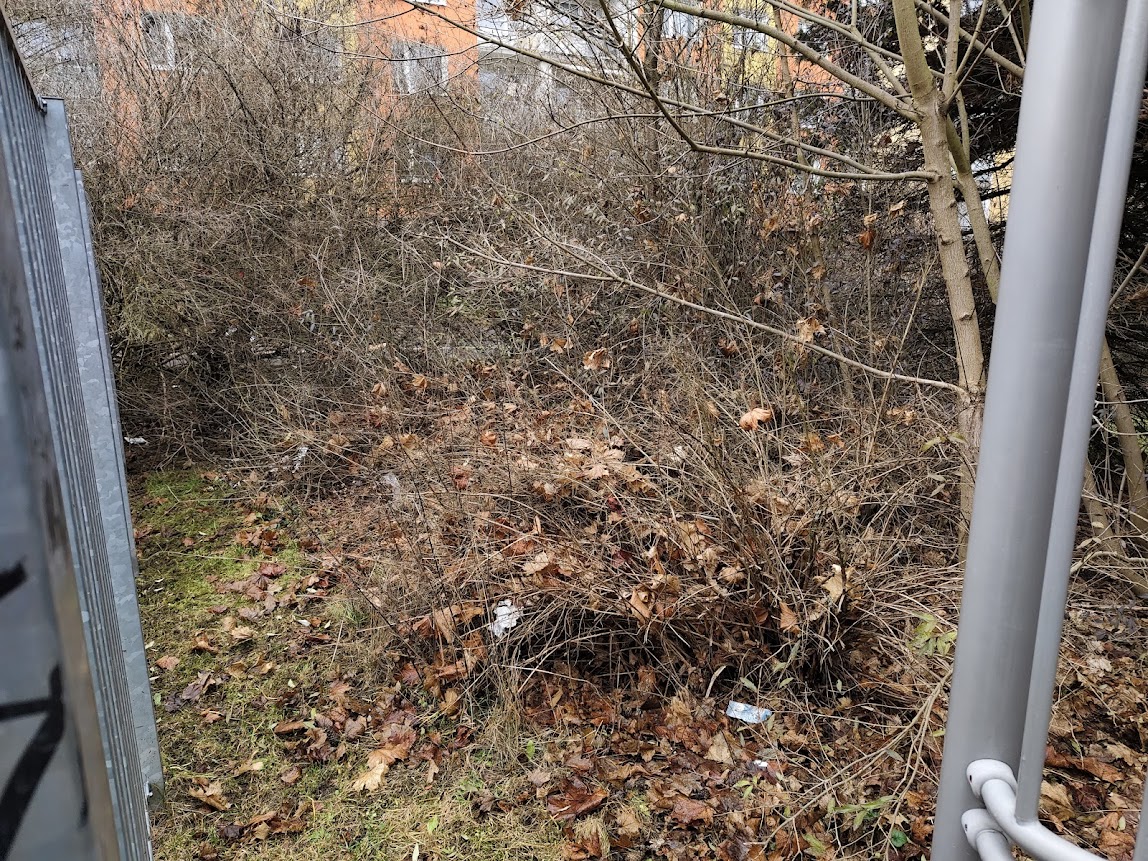 Fotografie nahlášení