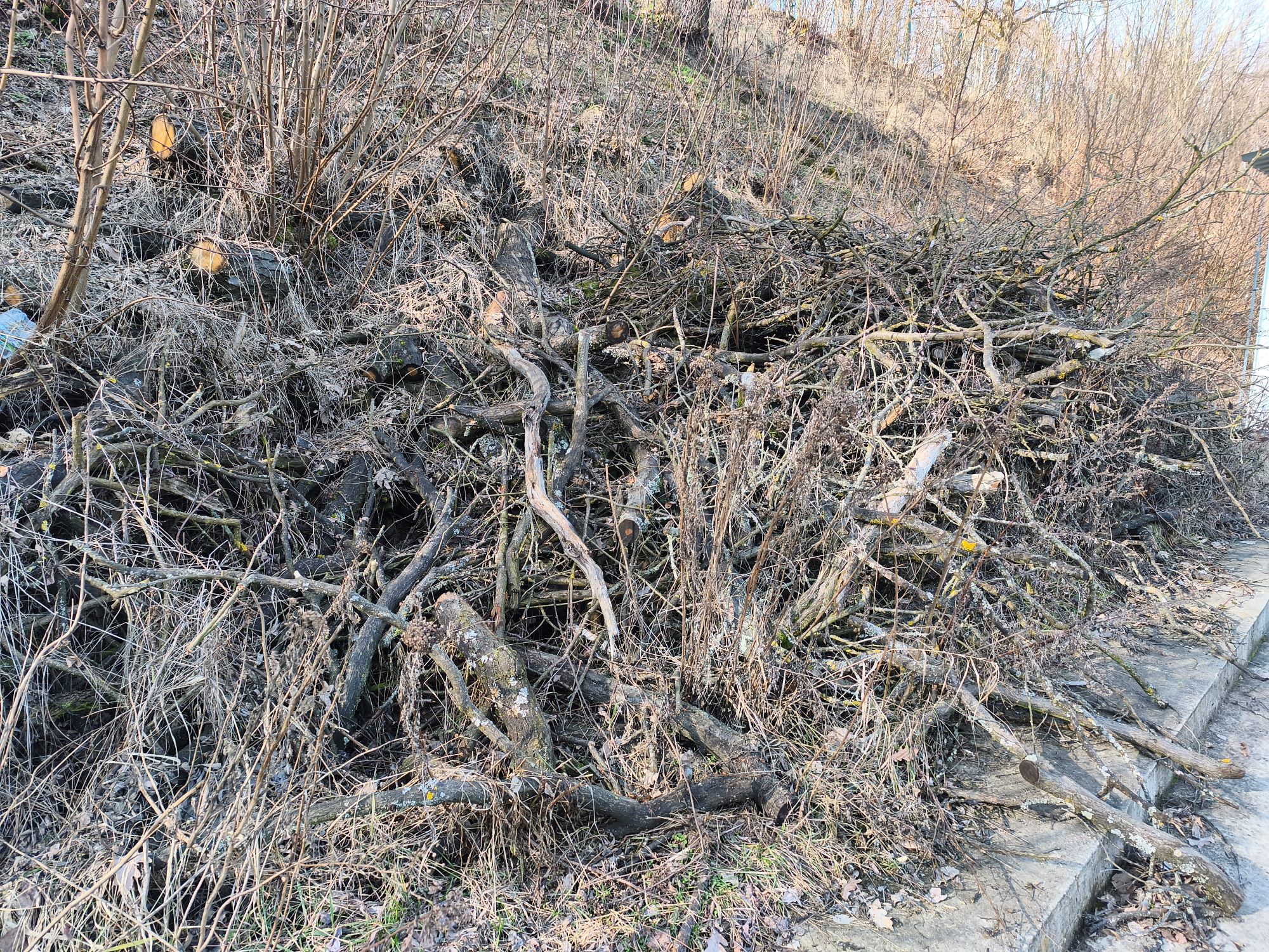 Neuklizená dřevní hmota