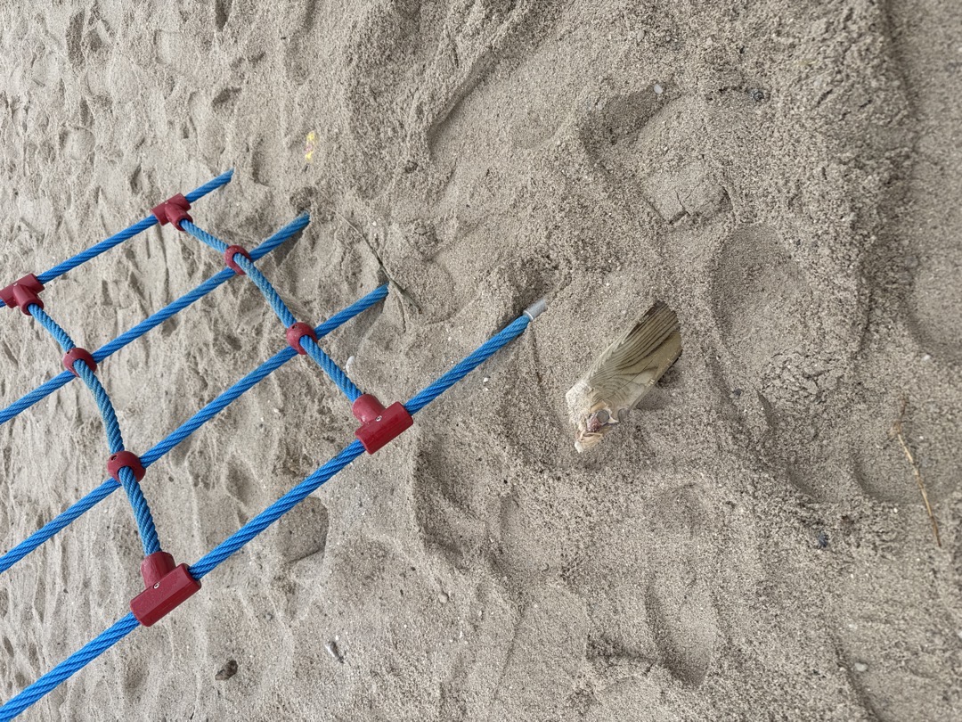 dřevěný trám kouká z písku