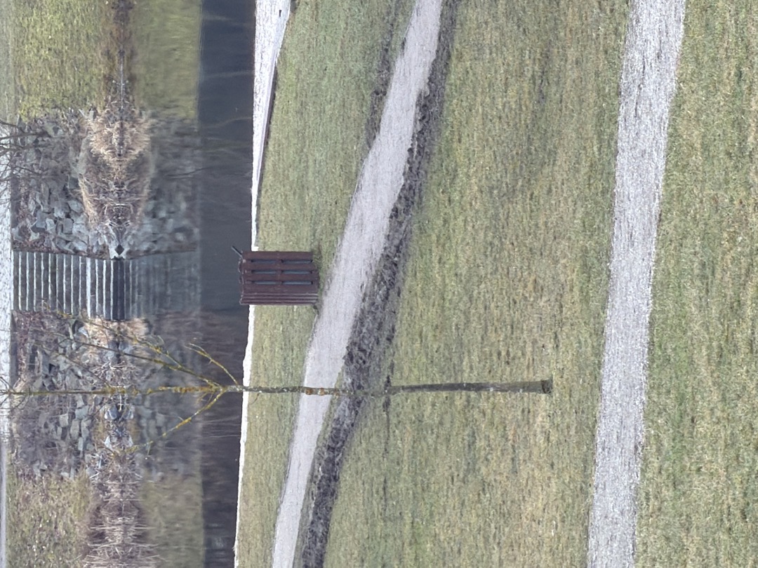 Rozježděné okolí cesty