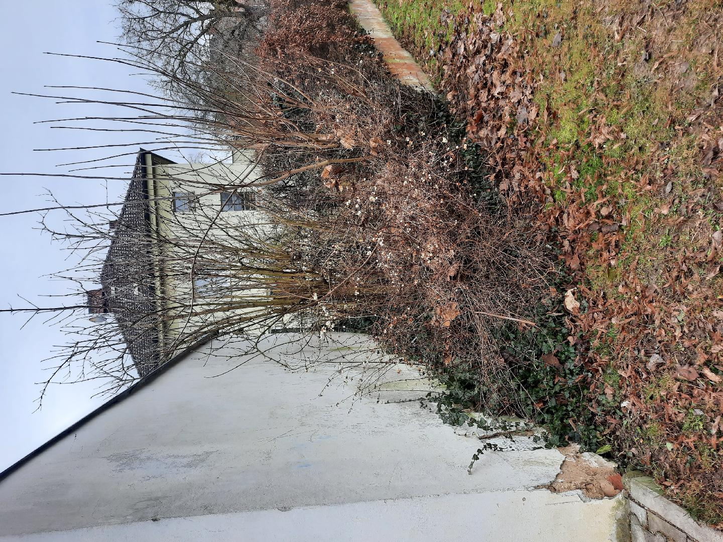 Fotografie nahlášení