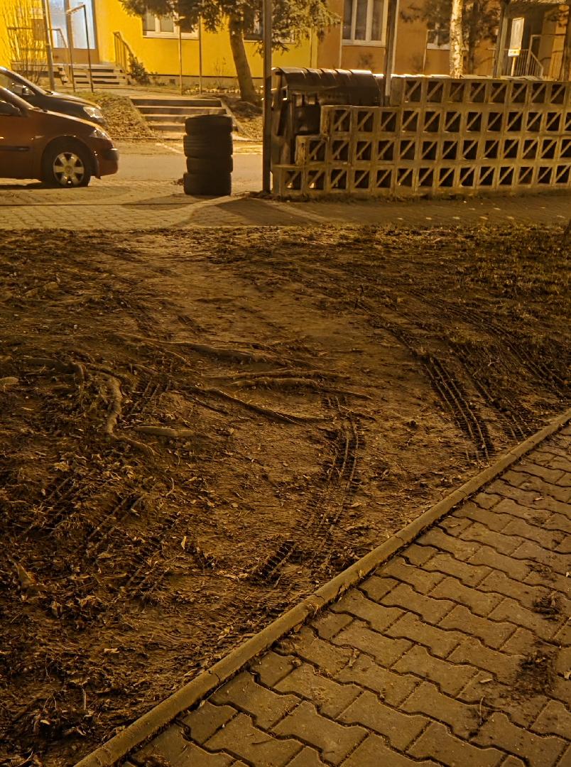 Rozježděný trávník