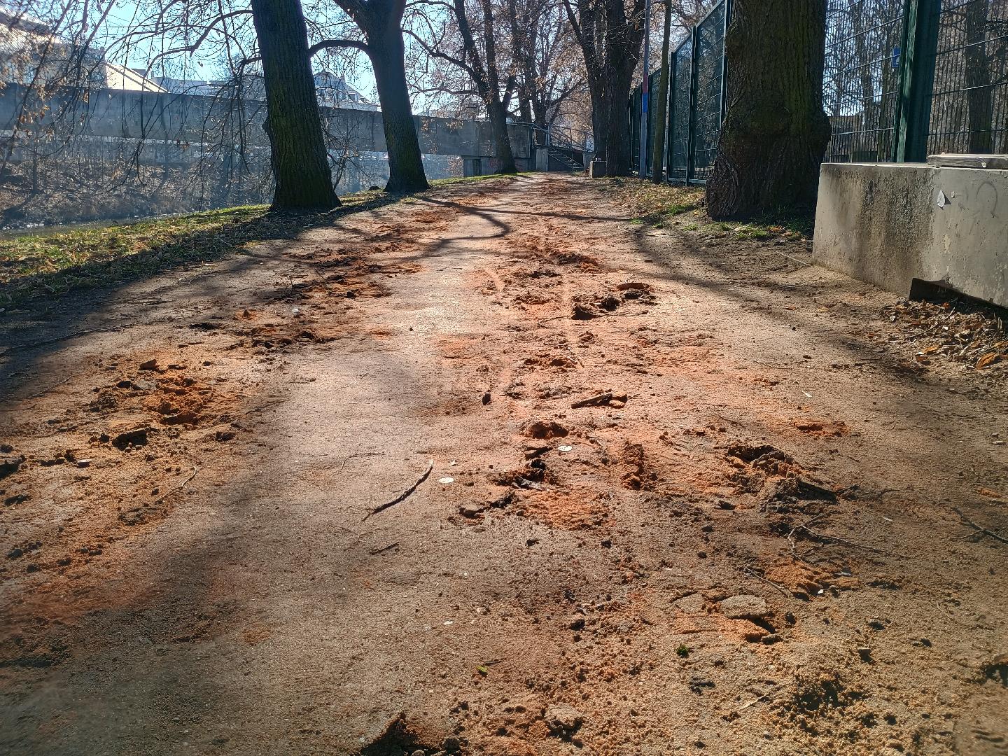 Rozryty chodnik od koni