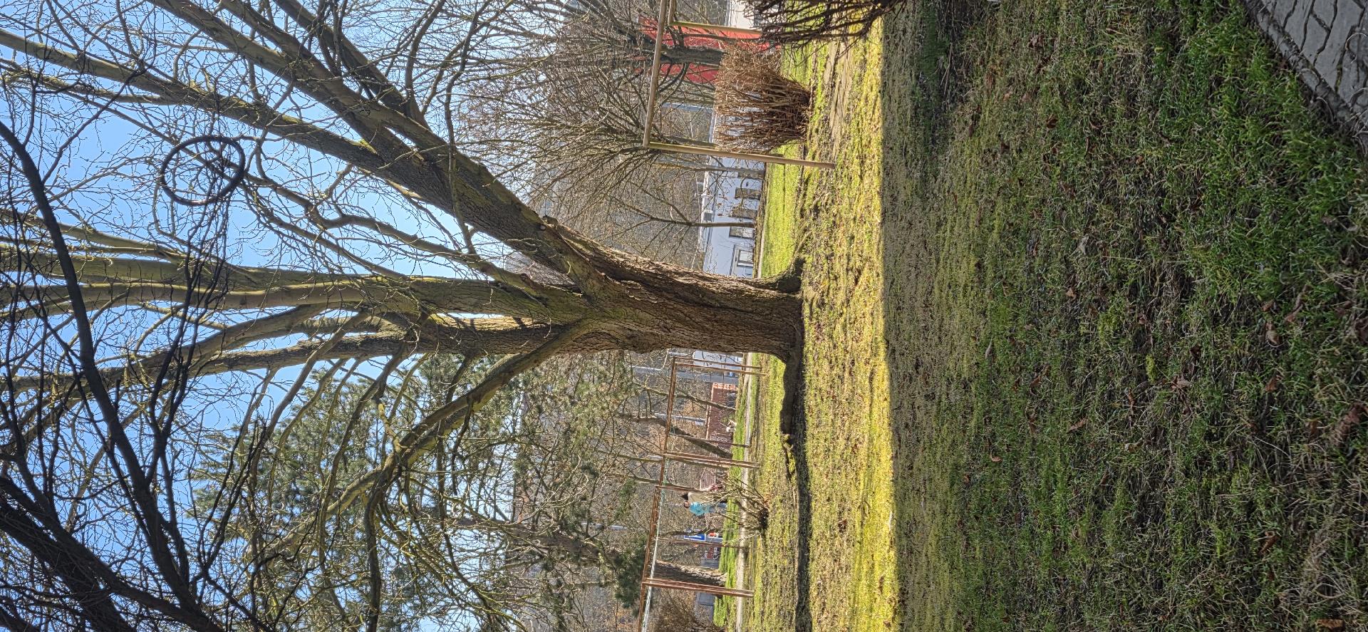 Pneumatika z jízdního kola