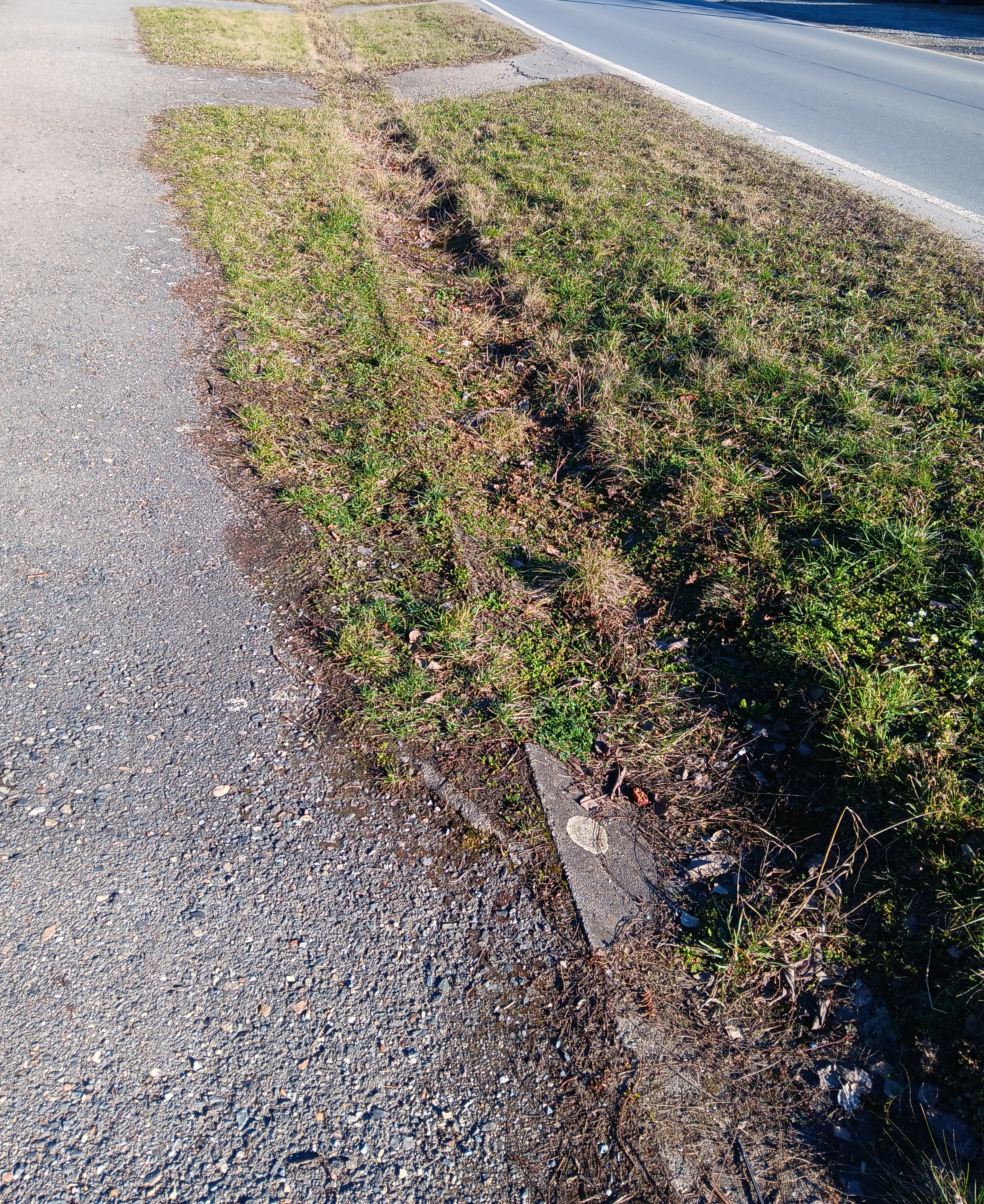 Zanesené odvodnění