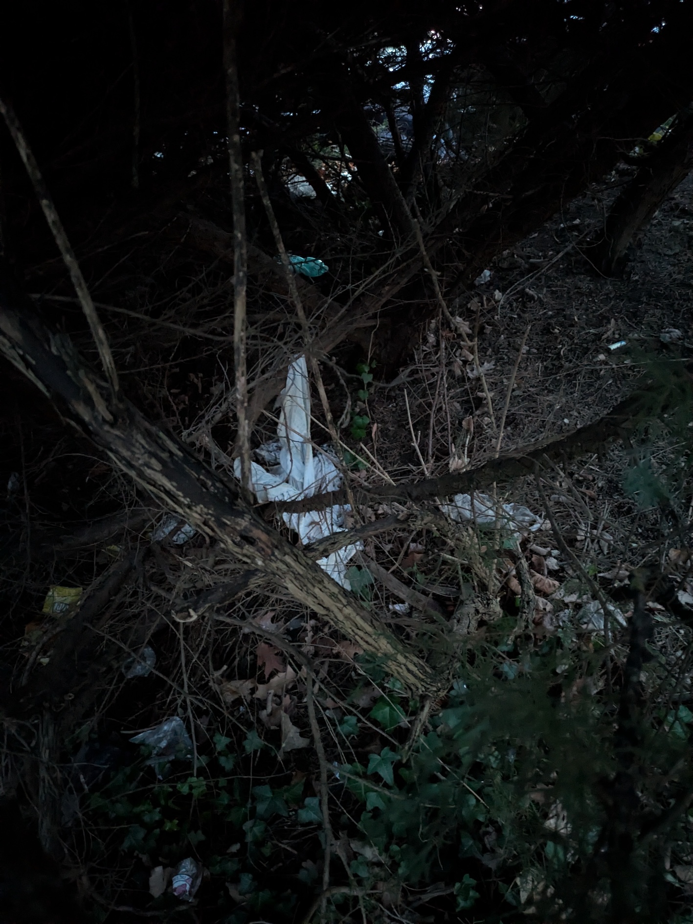 Fotografie nahlášení