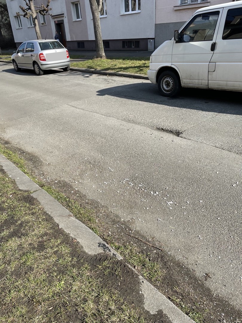 Nepořádek po svozu