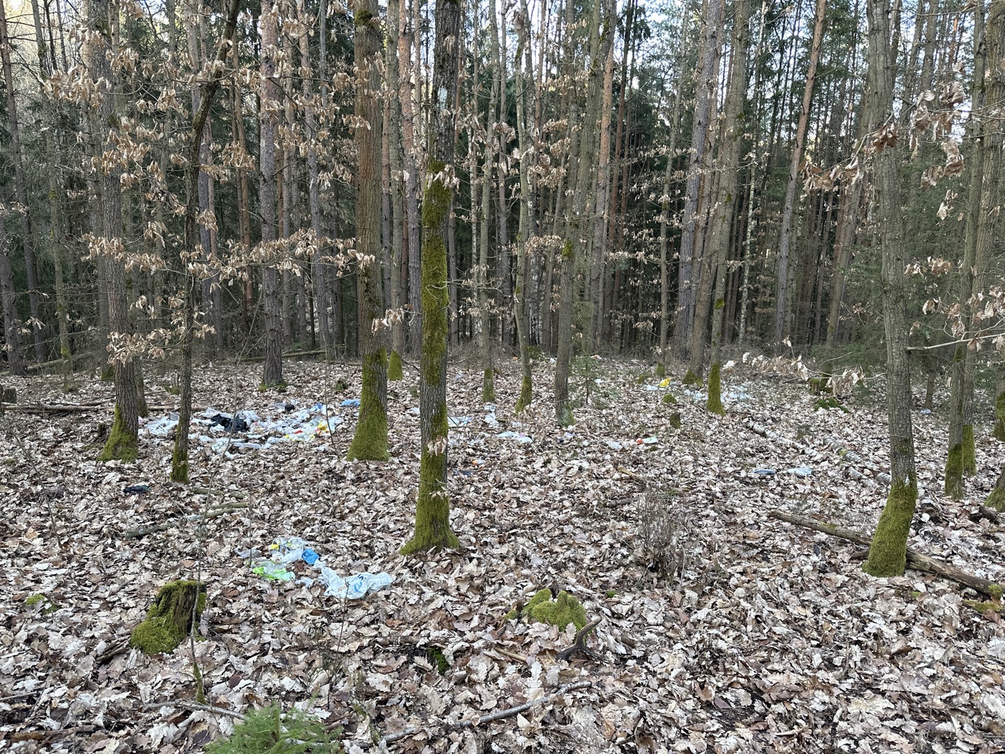 Odpad v lese