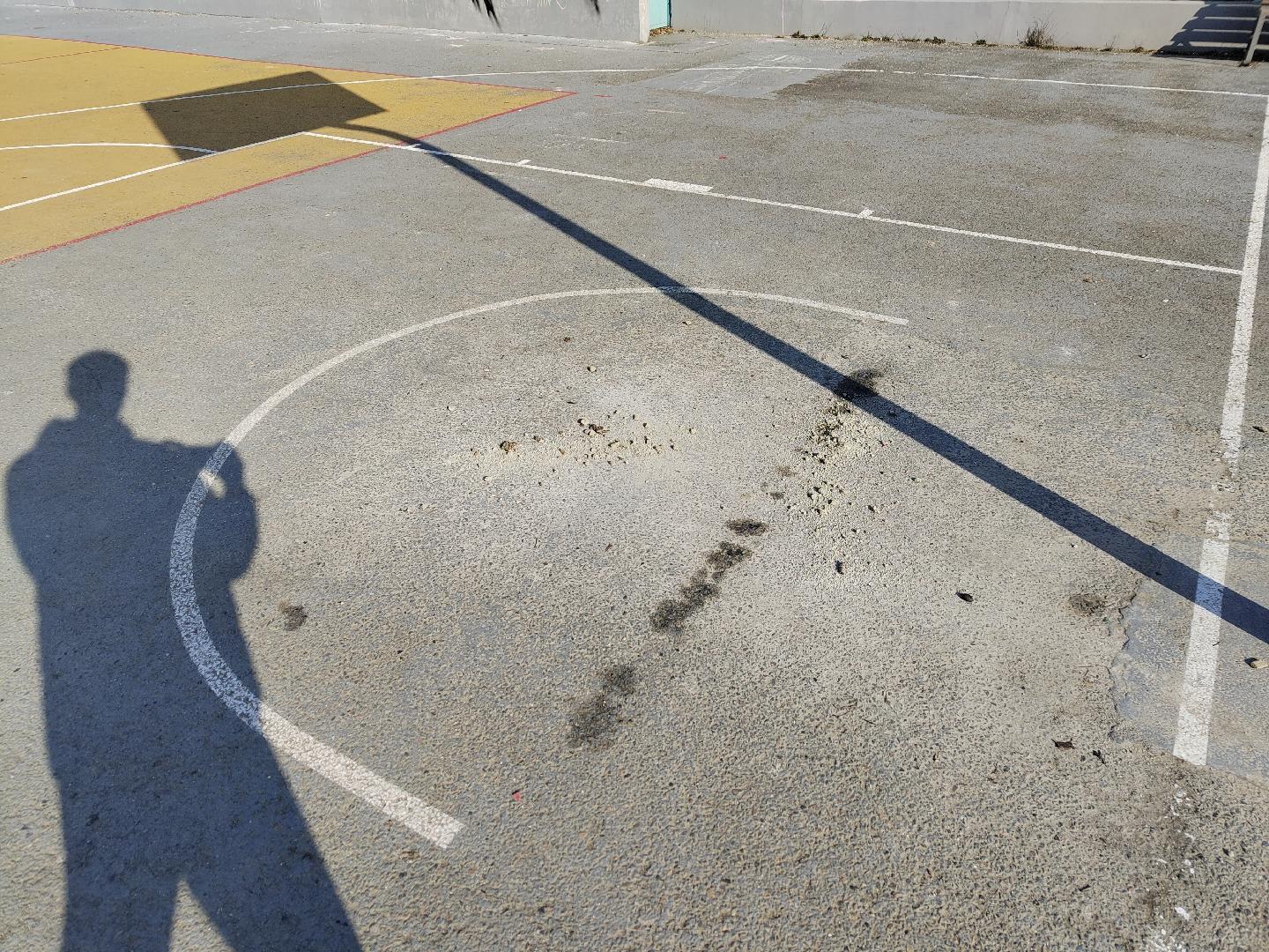 Nepořádek pod košem