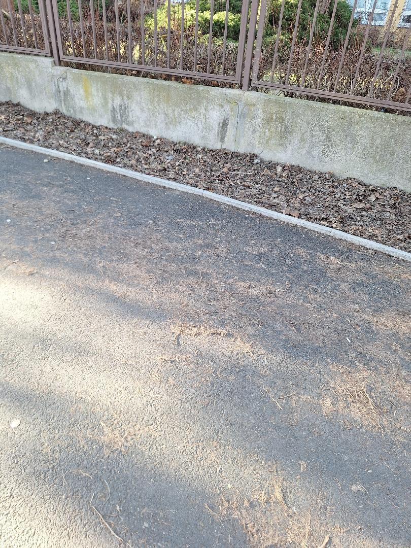 Fotografie nahlášení