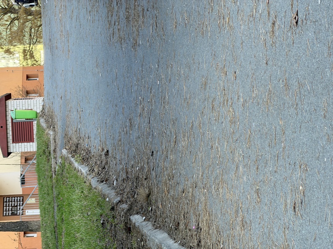 Celoročně neuklizený chodník