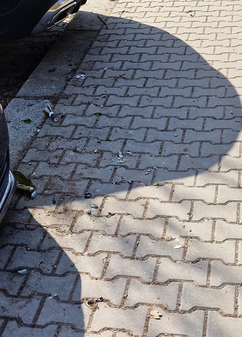 Fotografie nahlášení