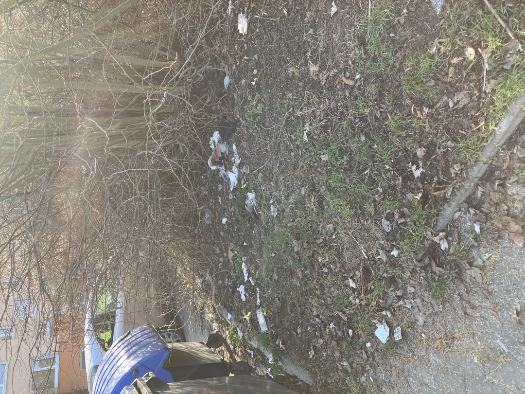 nepořádek z odpadků