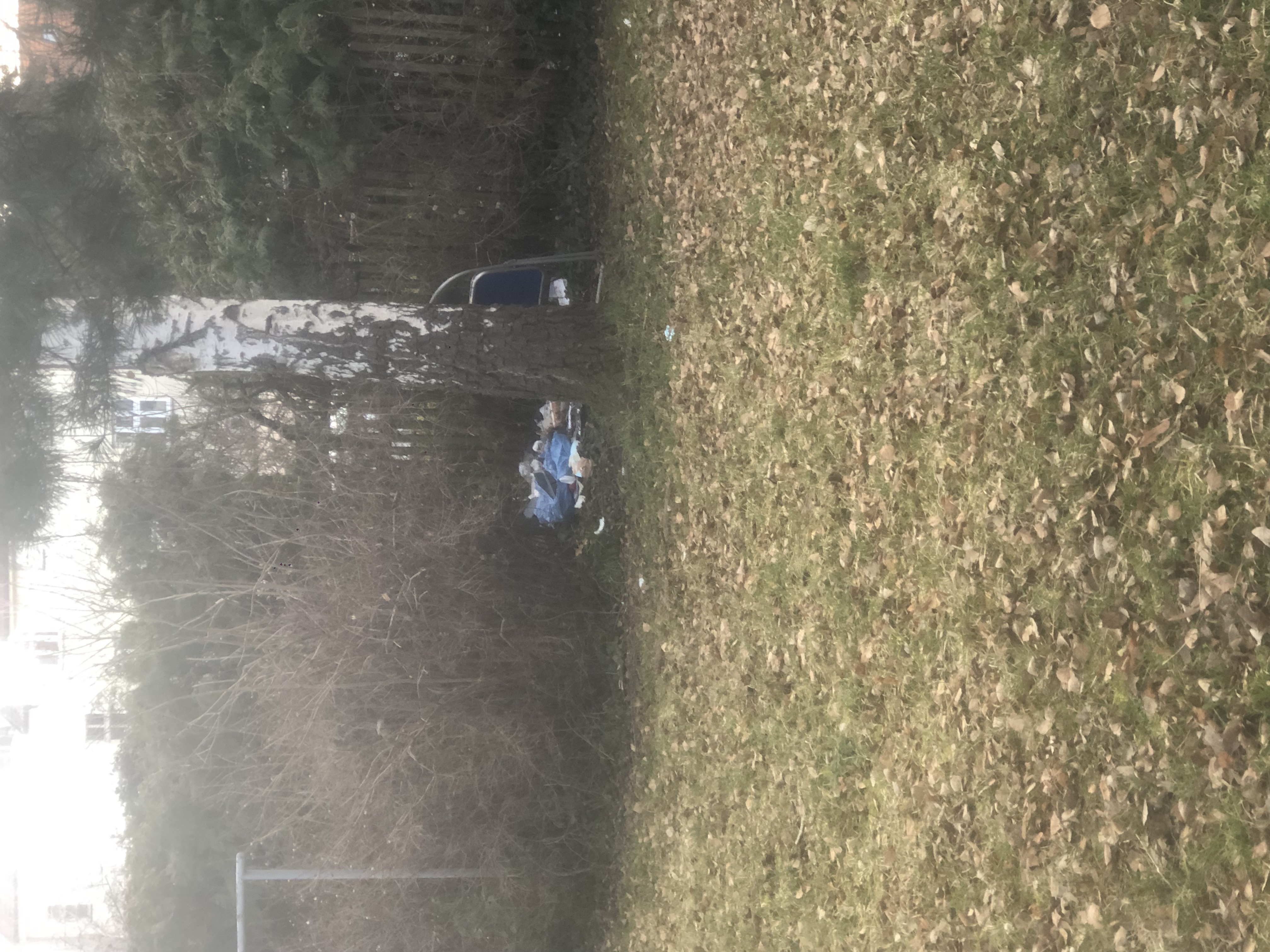 Fotografie nahlášení