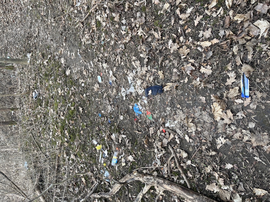 bordel a buchny v borčáku