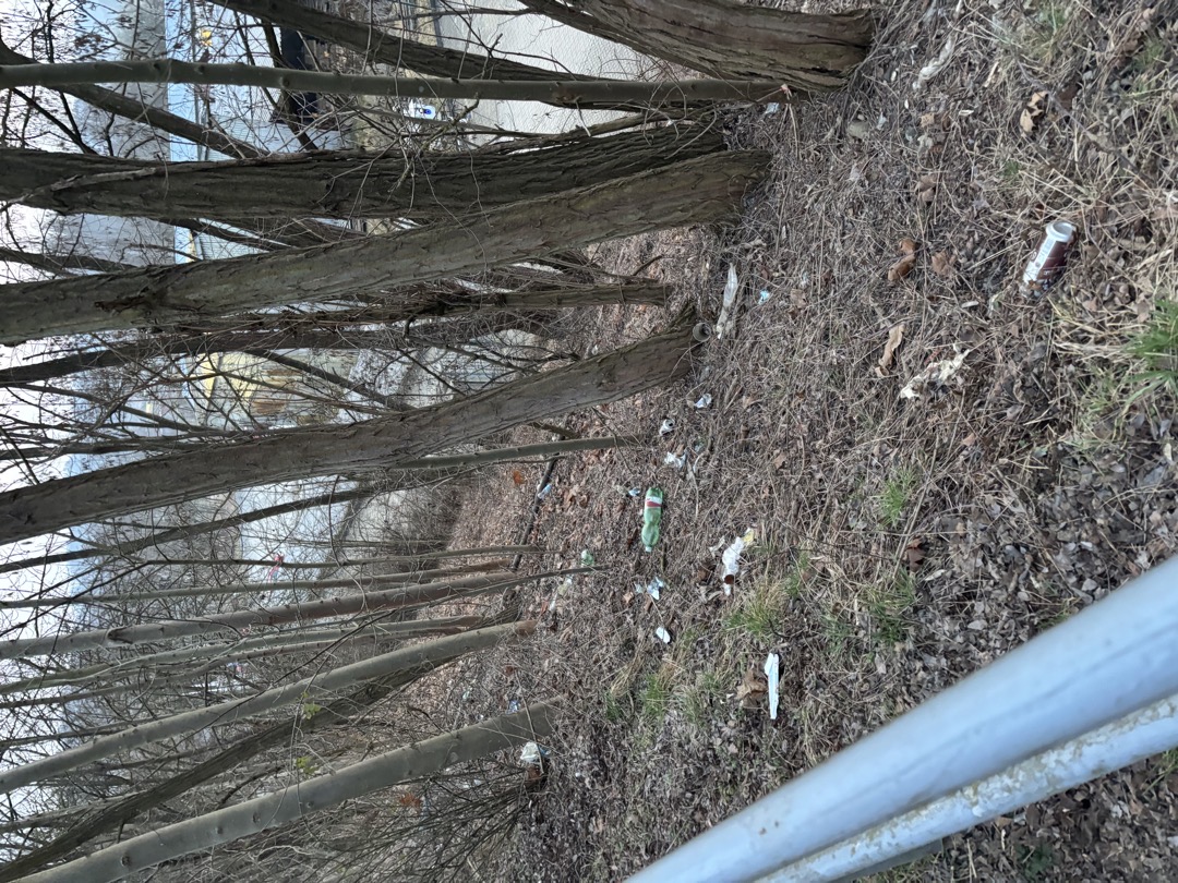 Znečištění vedle chodníku 