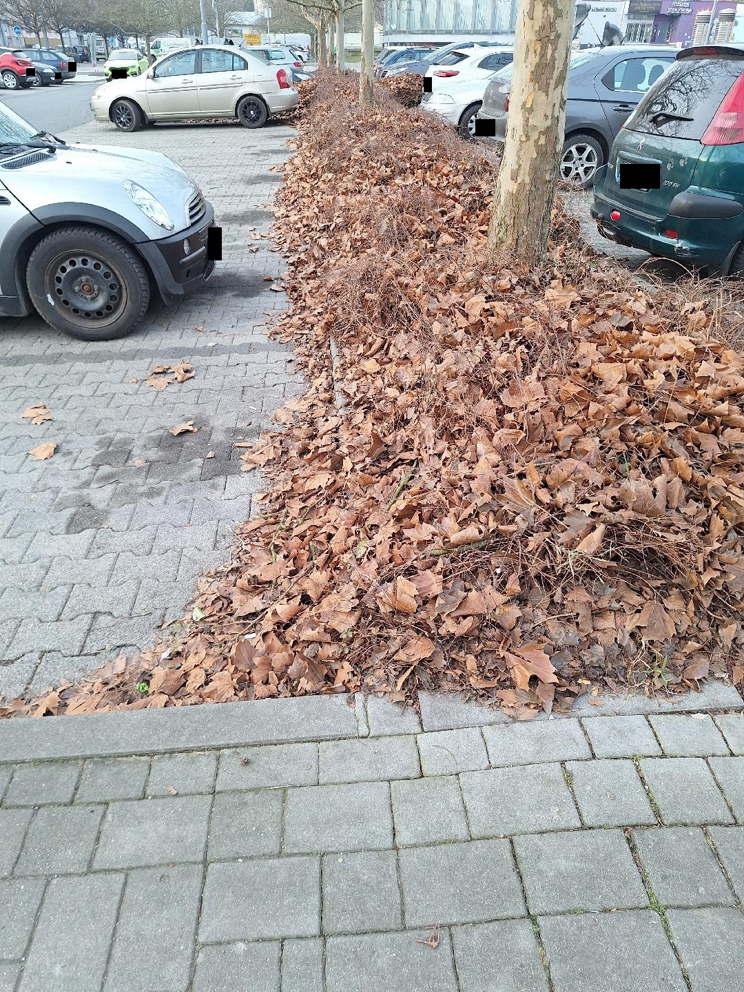 Fotografie nahlášení