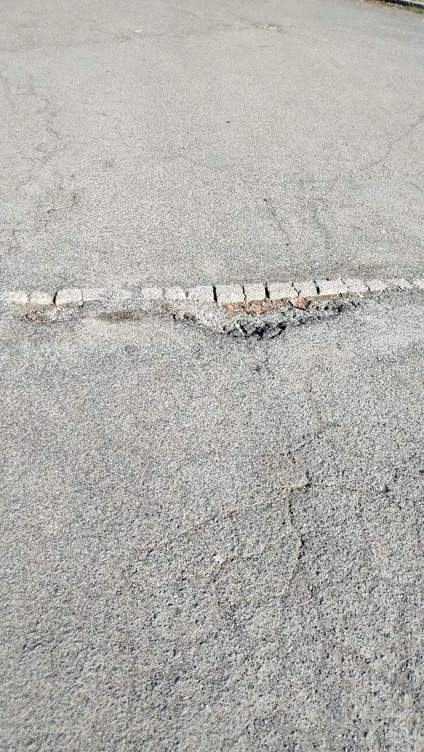 Fotografie nahlášení