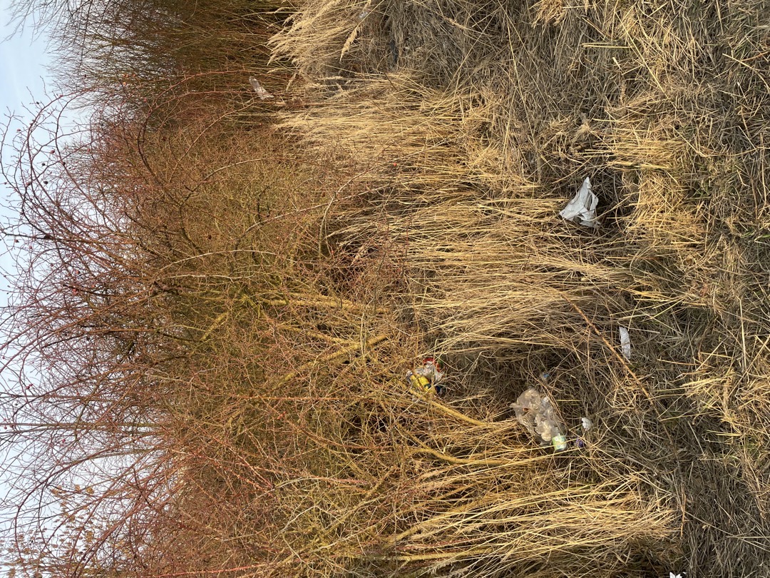 odpadky, prosím o úklid 