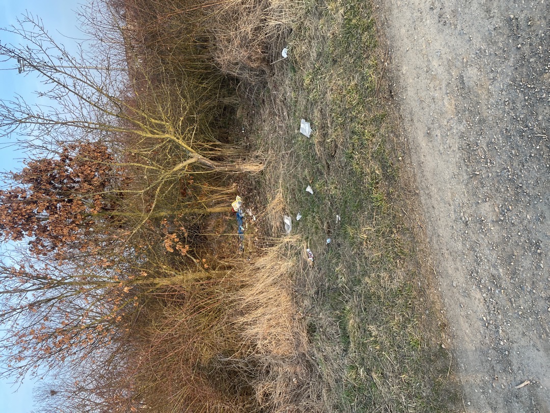 Fotografie nahlášení