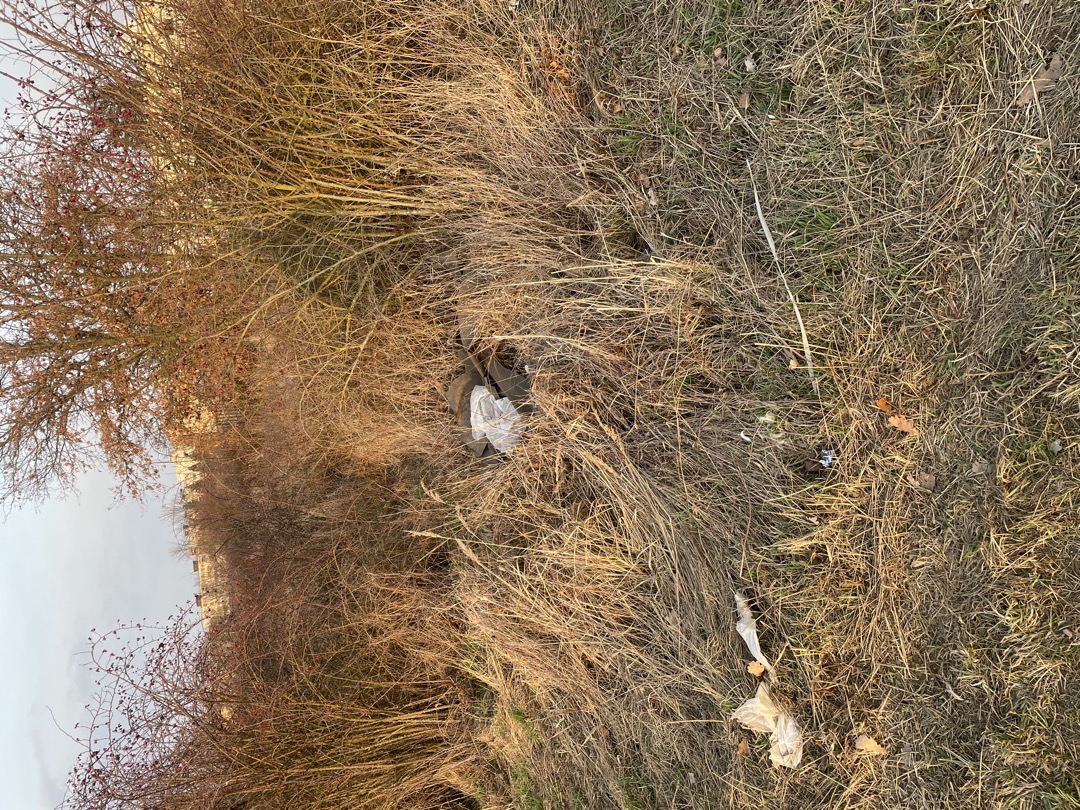 Fotografie nahlášení