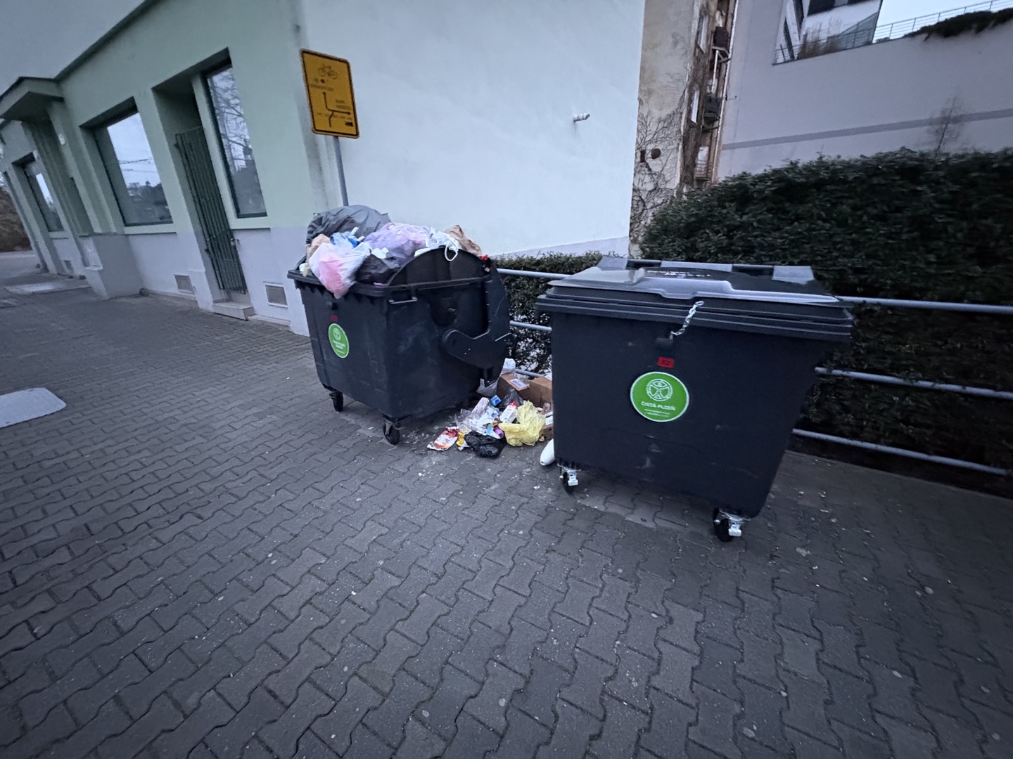 Nepořádek u popelnic