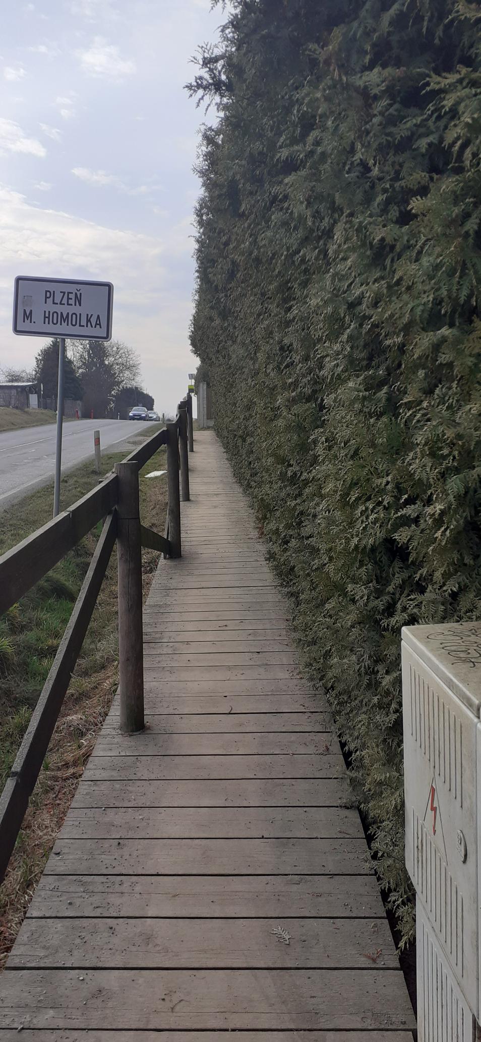 Zborovská ul. přerostlá zeleň