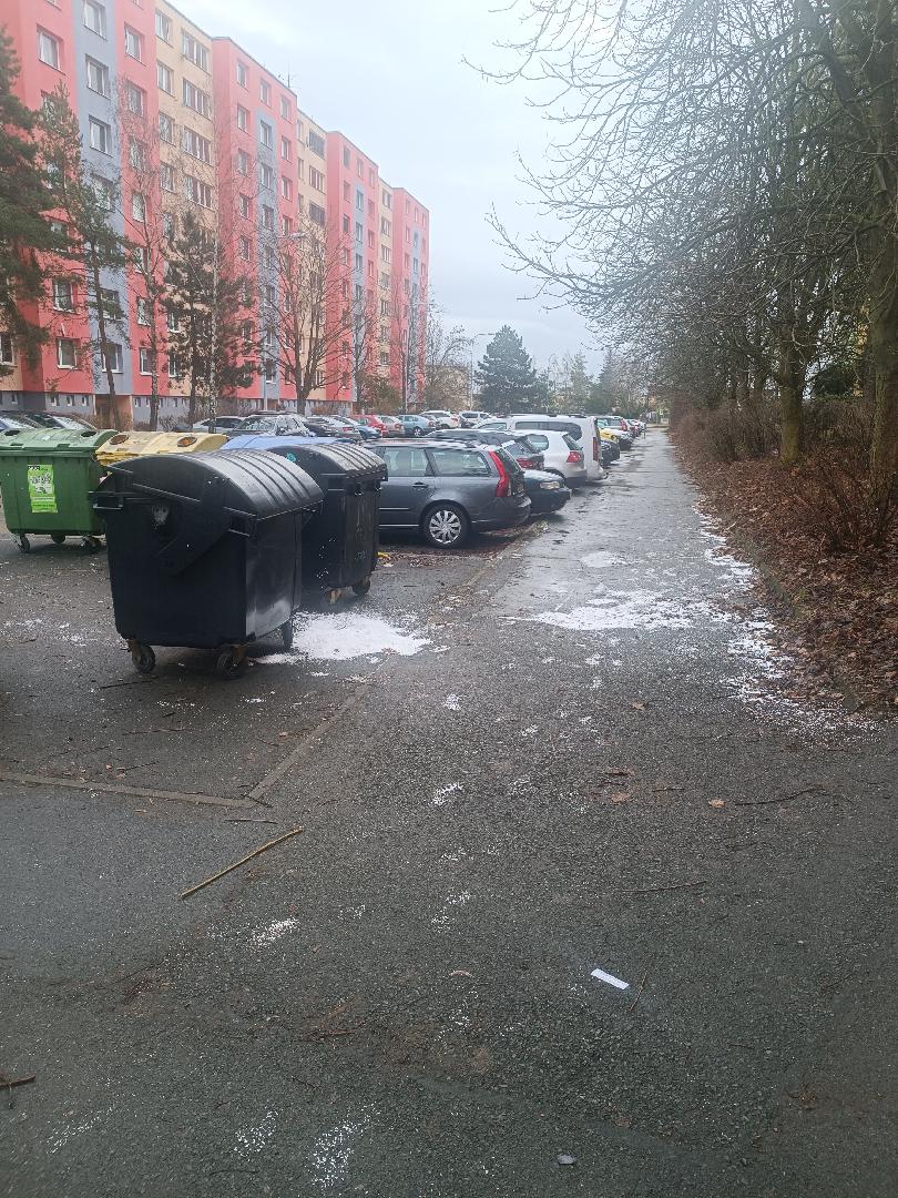 Nepořádek u popelnic