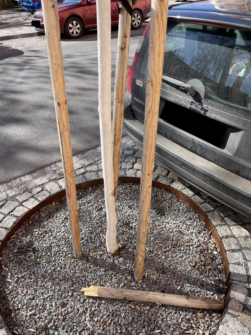 Zlomená opora stromku