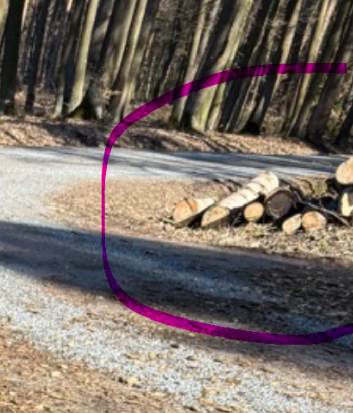 Zbytky po těžení na cyklotrase