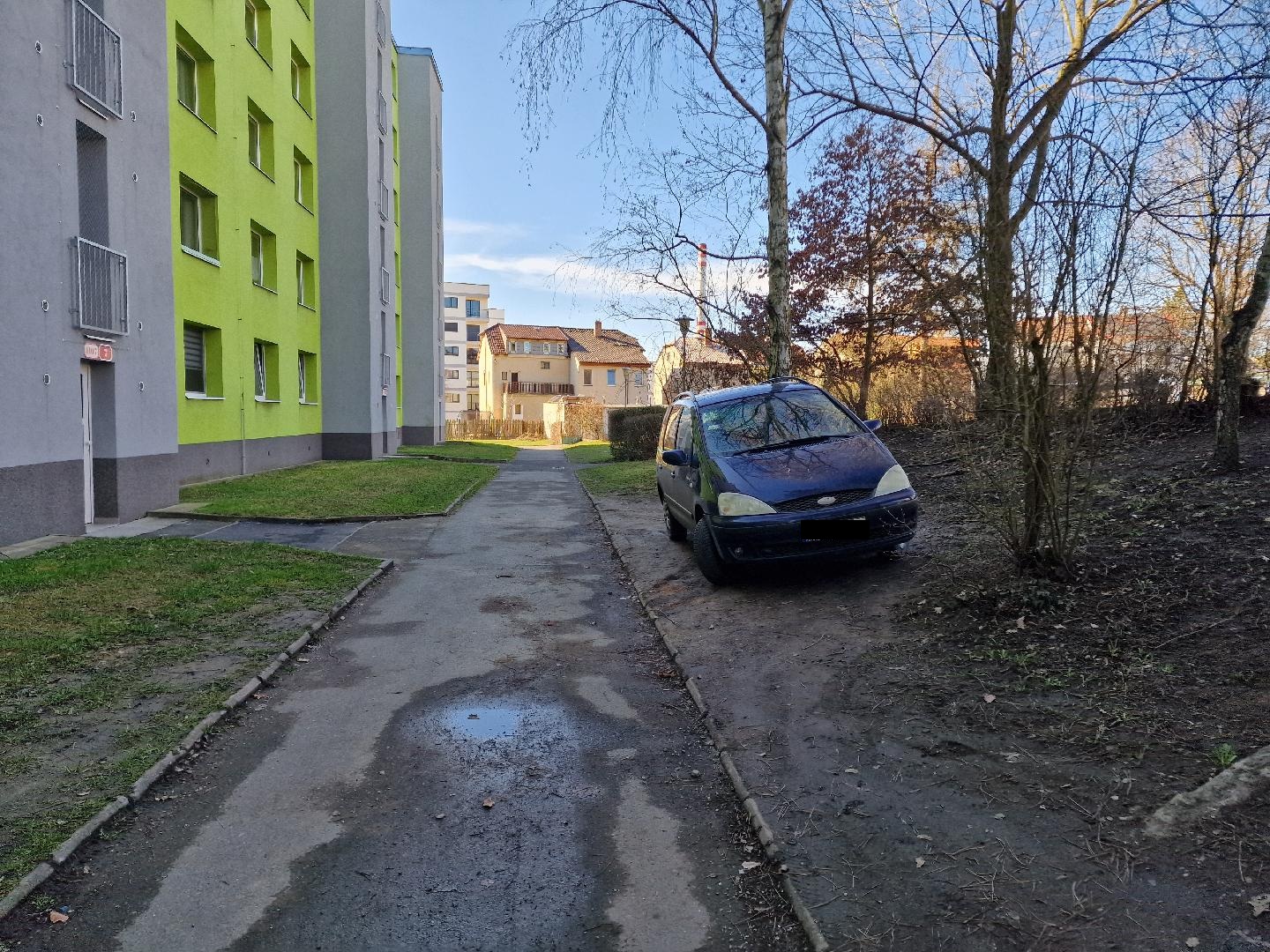 Odstavené auto v zeleni