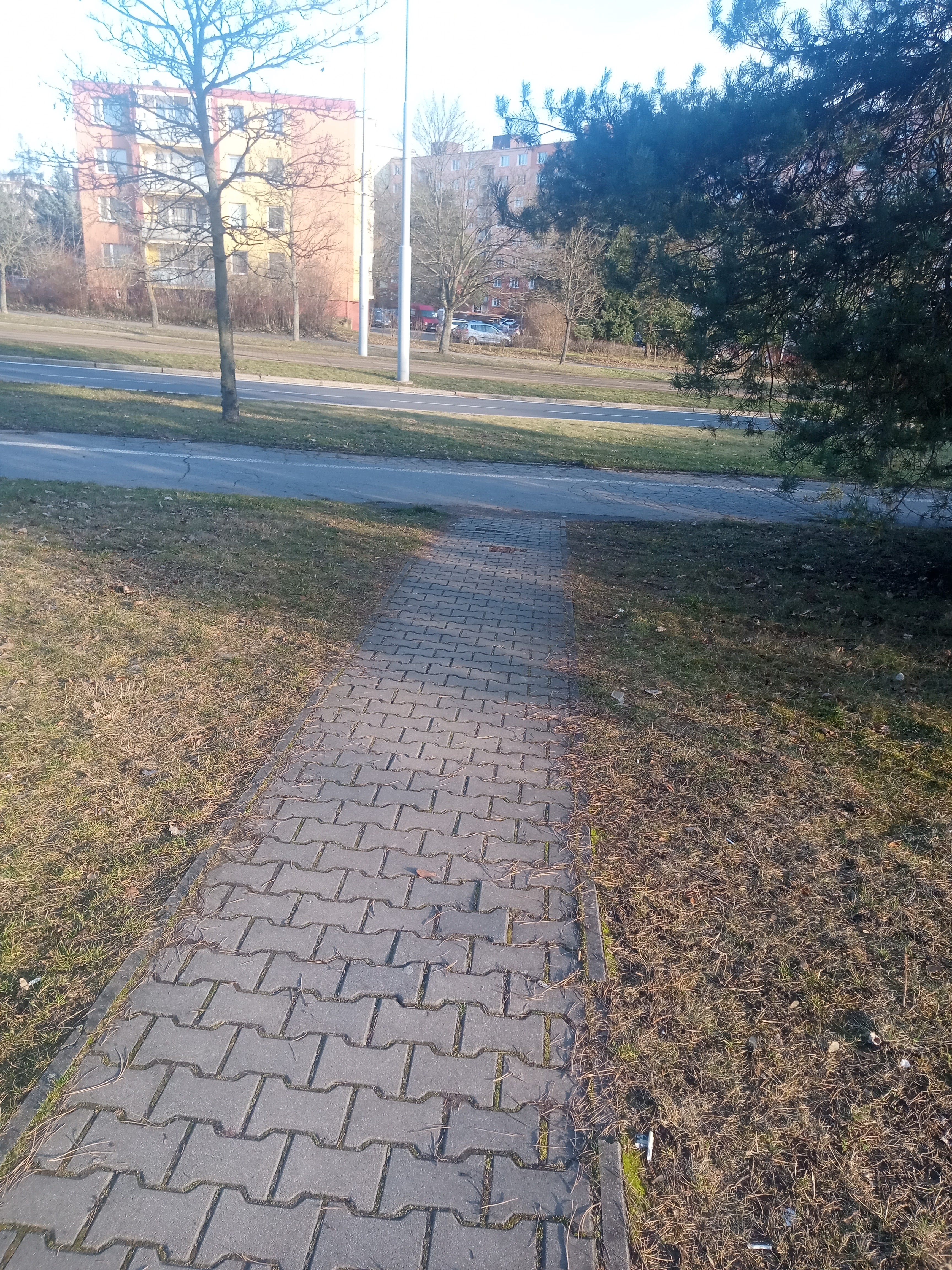 Zámková dlažba-chybějící části