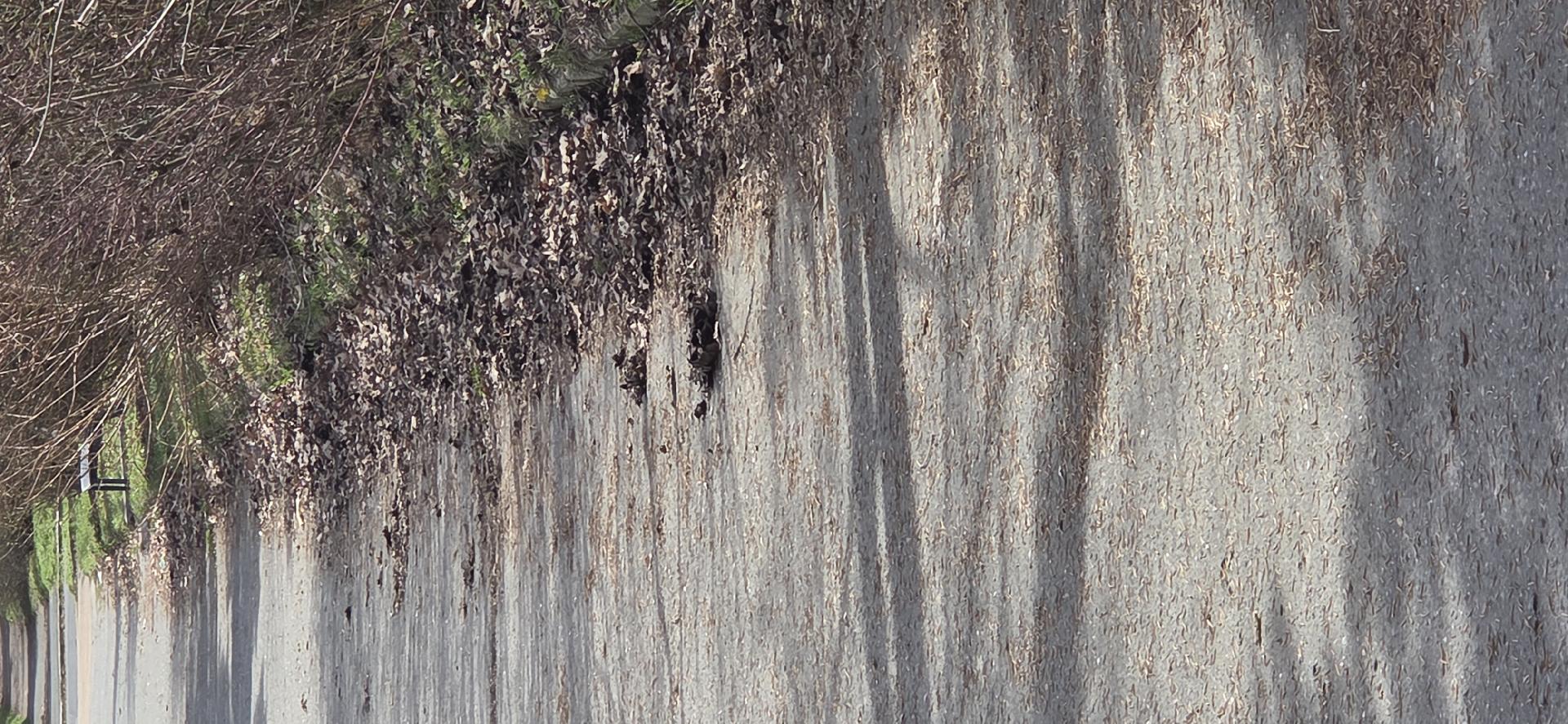 uklid chodniku ve vnitobloku
