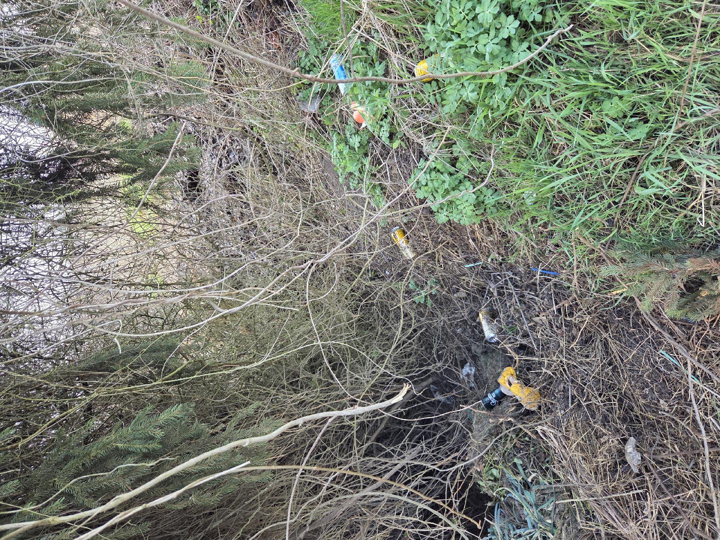 odpadky v přírodě 