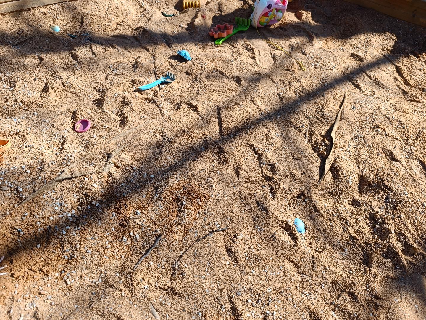 Fotografie nahlášení