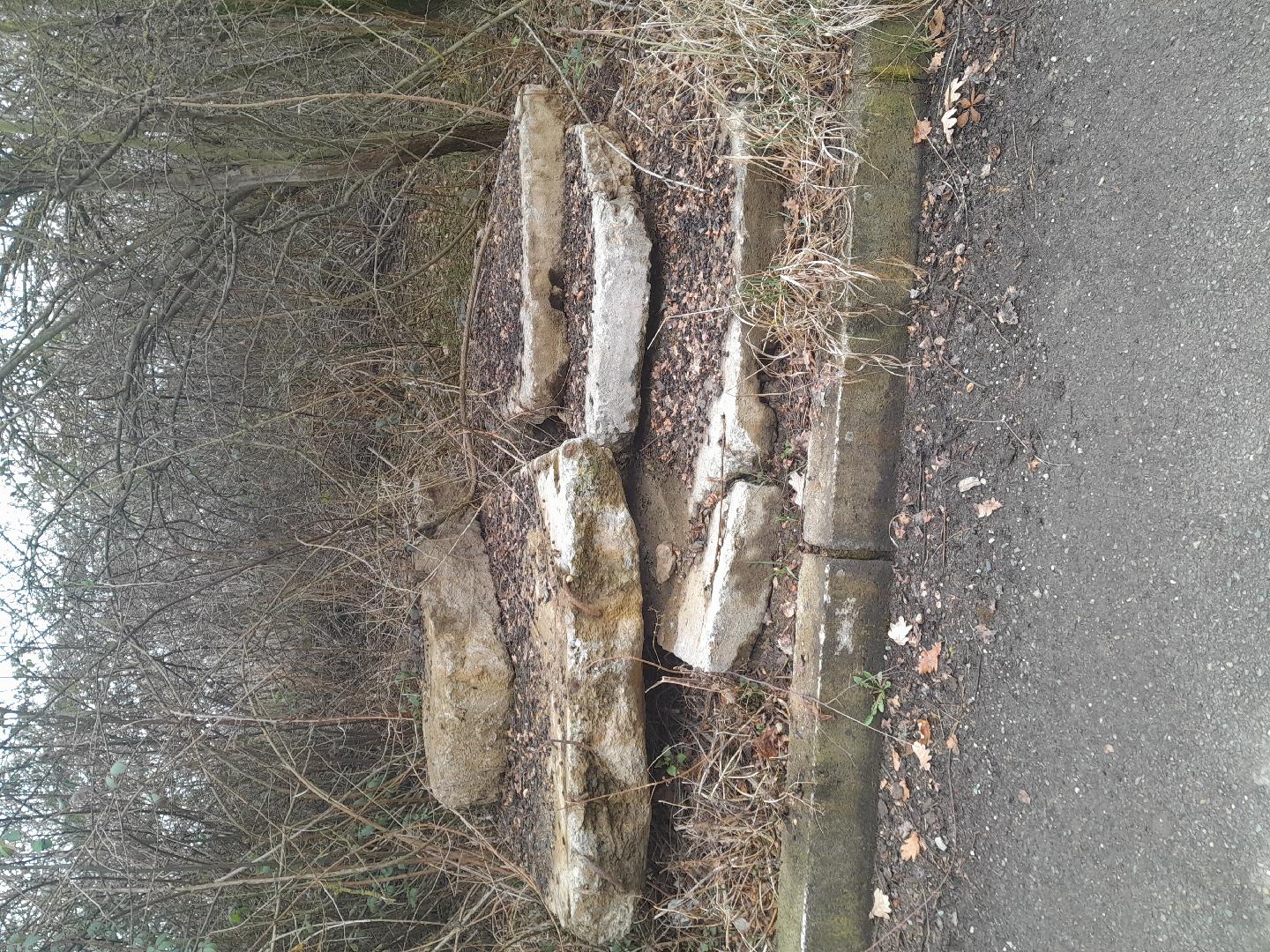 Černá skládka na pozemku města