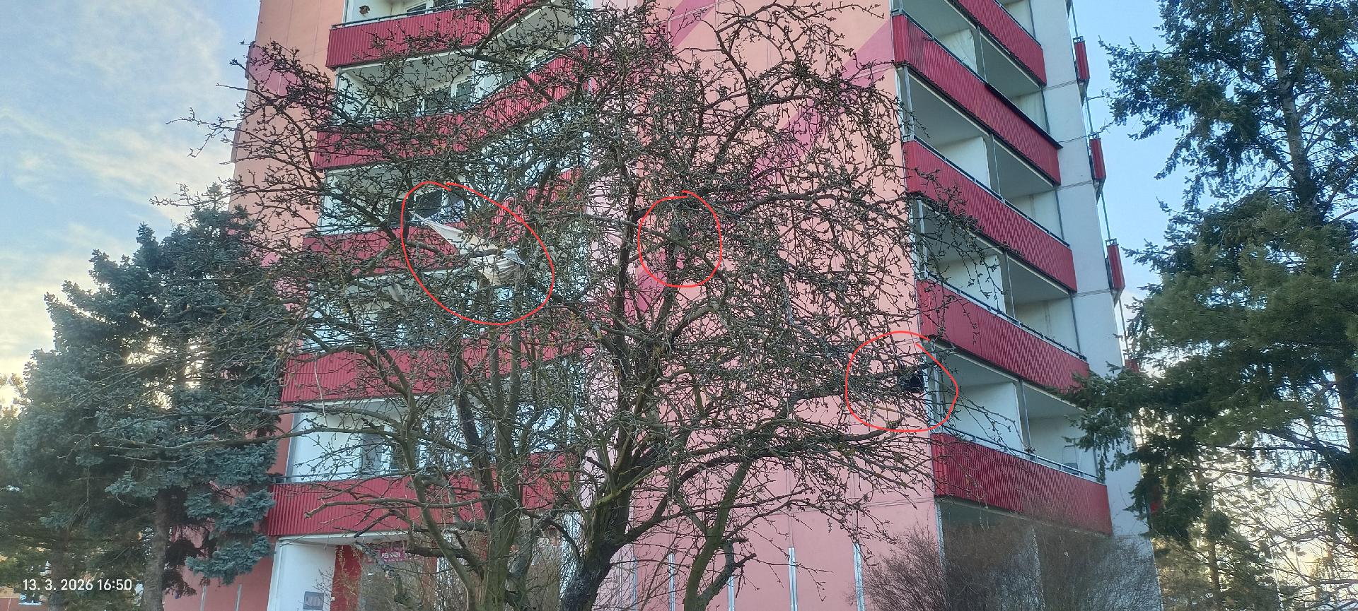 skládka, bordel ve stromech