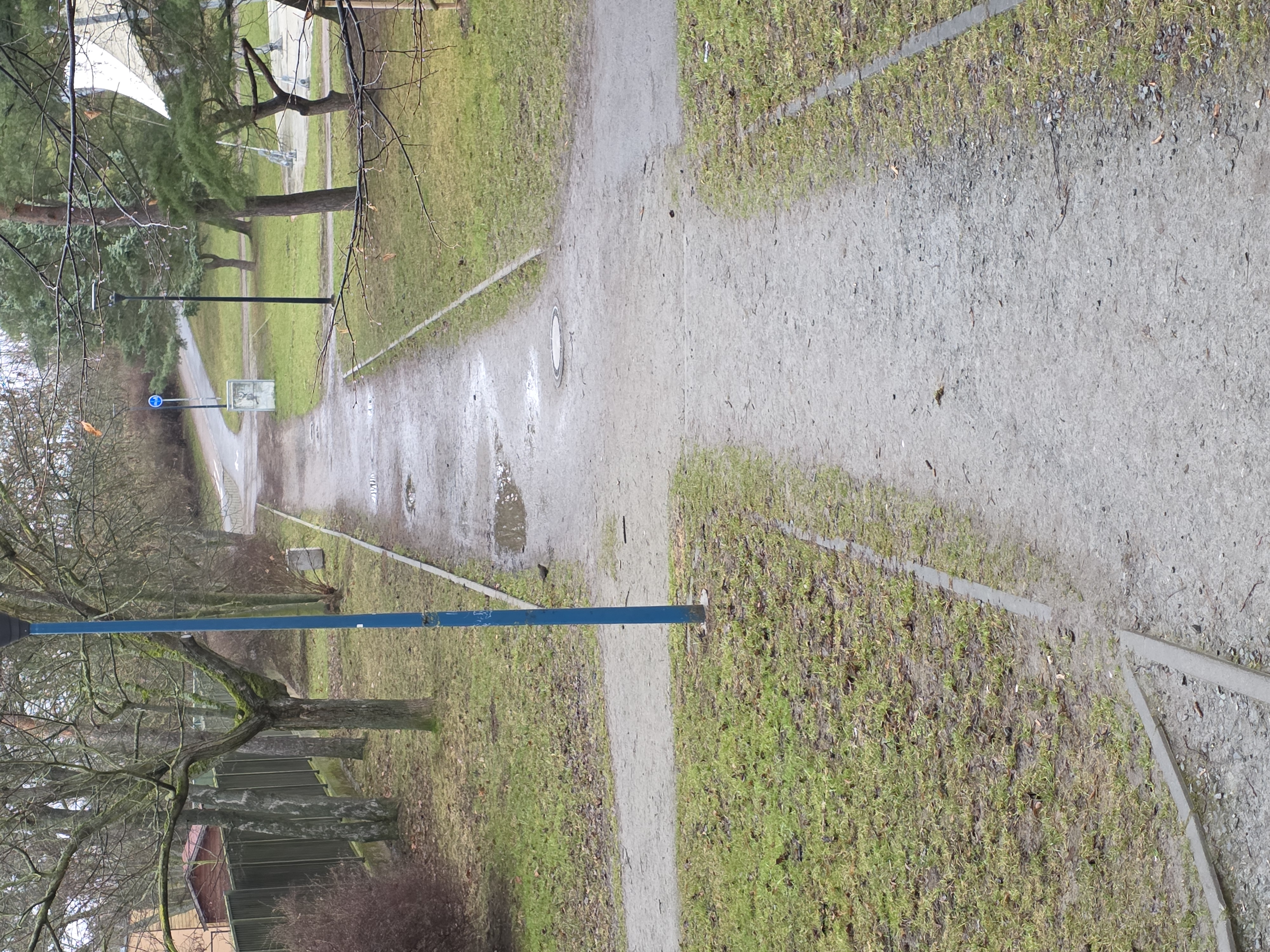 Cesta v Chvojkových lomech