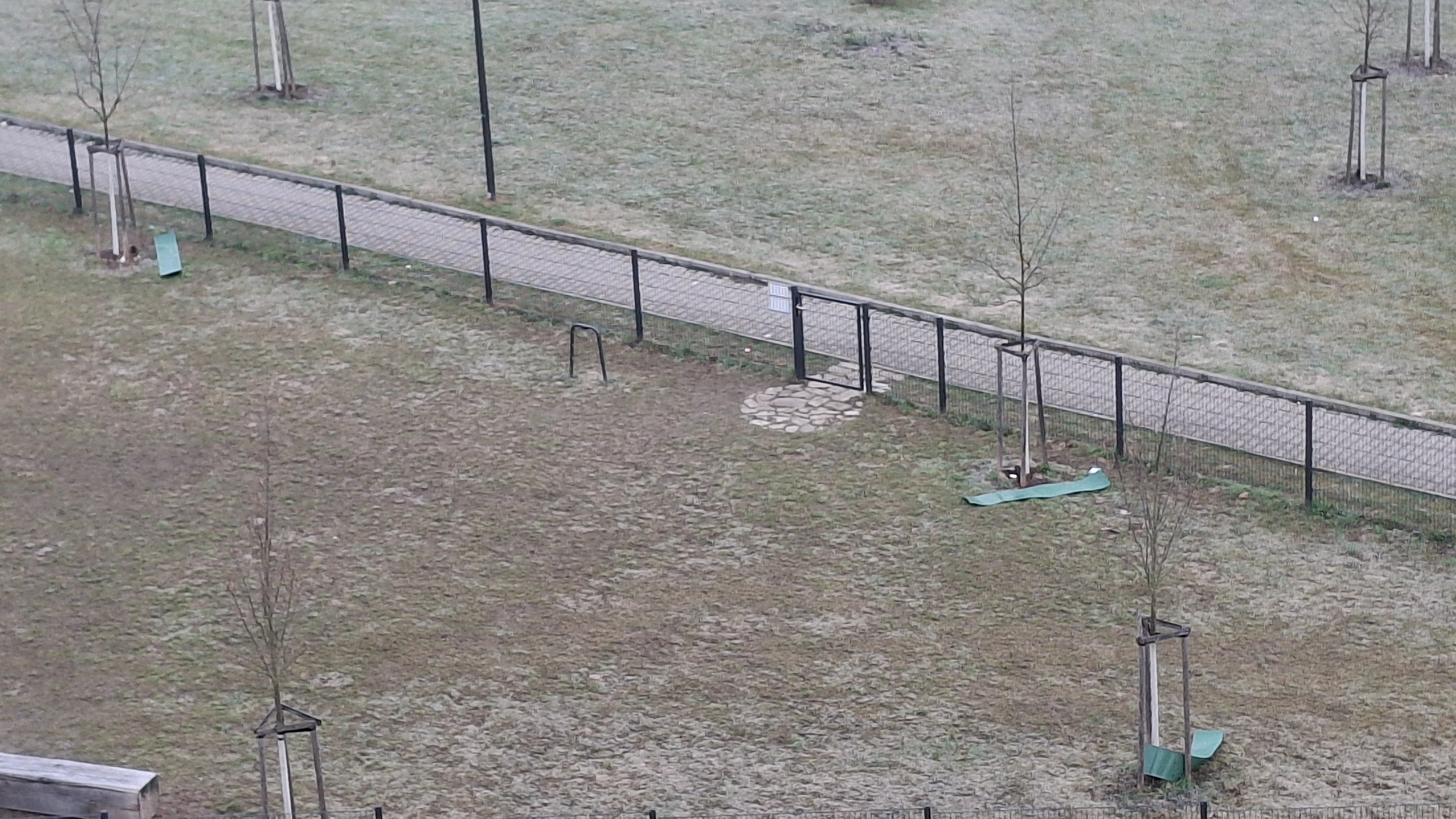 Uvolněně kryty stromků